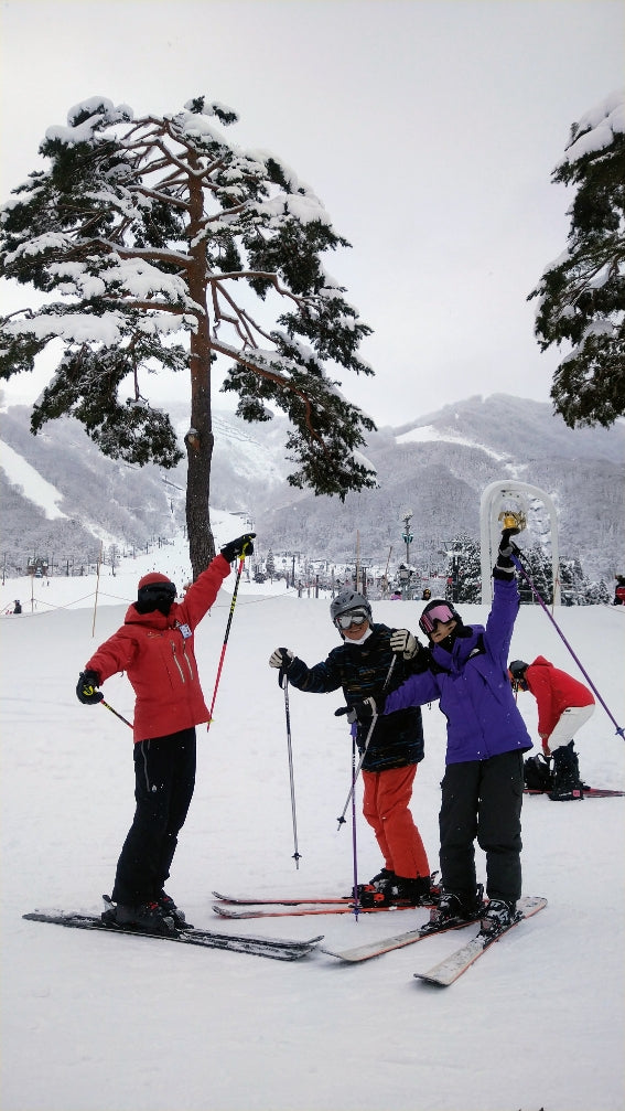 Normal Ski Lessons - 2 × 90 Minutes