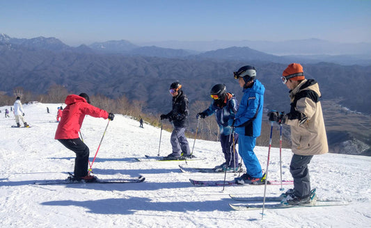 Normal Ski Lesson - 90 Minutes